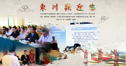 微信图片_20181115142939