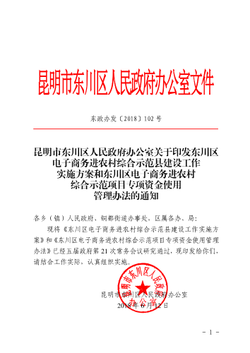 6-东政办发〔2018〕102号_电子商务进农村综合示范县建设工作实施方案和资金管理办法_1