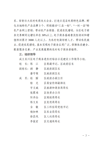 6-东政办发〔2018〕102号_电子商务进农村综合示范县建设工作实施方案和资金管理办法_3