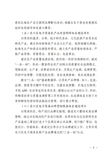 6-东政办发〔2018〕102号_电子商务进农村综合示范县建设工作实施方案和资金管理办法_9