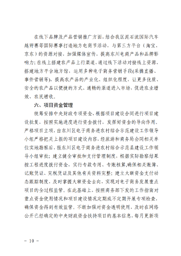 6-东政办发〔2018〕102号_电子商务进农村综合示范县建设工作实施方案和资金管理办法_10