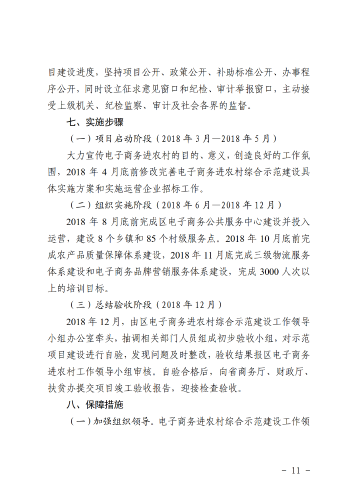 6-东政办发〔2018〕102号_电子商务进农村综合示范县建设工作实施方案和资金管理办法_11