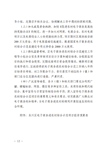 6-东政办发〔2018〕102号_电子商务进农村综合示范县建设工作实施方案和资金管理办法_12