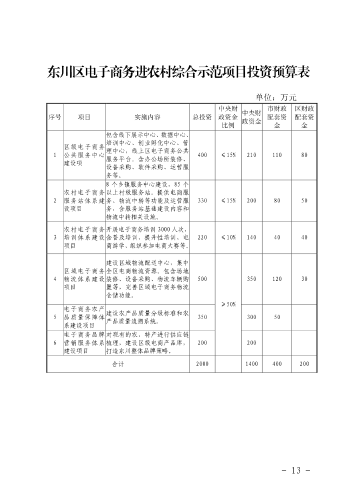 6-东政办发〔2018〕102号_电子商务进农村综合示范县建设工作实施方案和资金管理办法_13