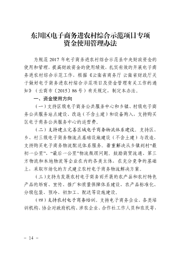 6-东政办发〔2018〕102号_电子商务进农村综合示范县建设工作实施方案和资金管理办法_14