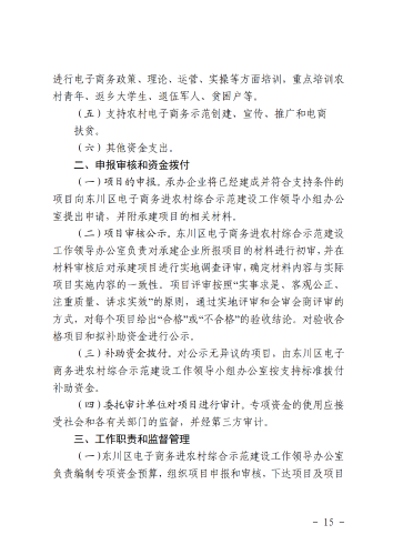 6-东政办发〔2018〕102号_电子商务进农村综合示范县建设工作实施方案和资金管理办法_15