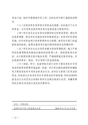 6-东政办发〔2018〕102号_电子商务进农村综合示范县建设工作实施方案和资金管理办法_16