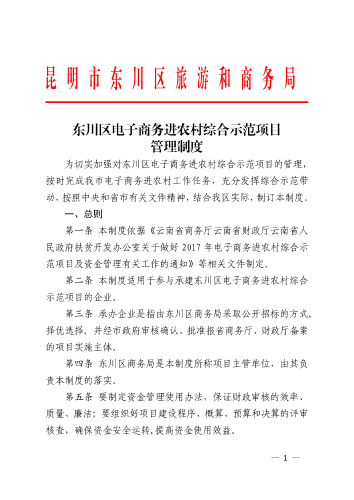 东川区电子商务进农村综合示范项目_1
