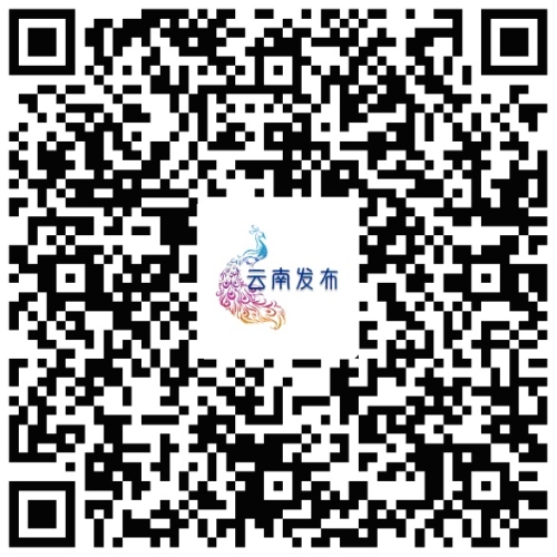 无标题