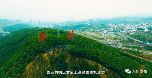 无标题