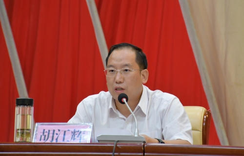 东川区召开2020年脱贫攻坚巩固提升暨乡村振兴工作推进大会3