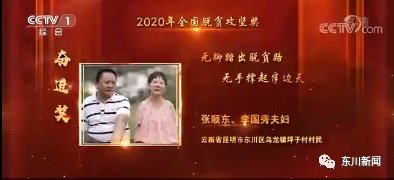 无标题
