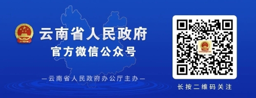 无标题