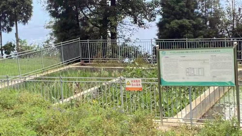 东川加强人居环境日常检查  促进农村人居环境提升2