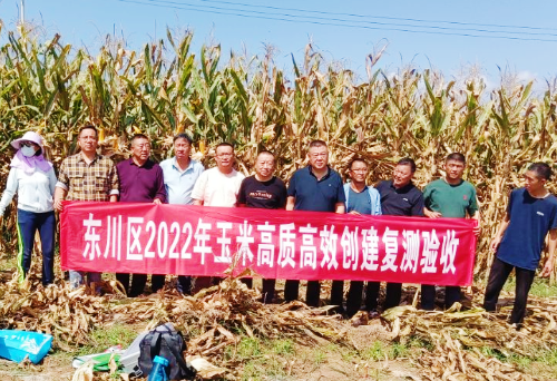 东川区2022年市级科技增粮项目通过验收1
