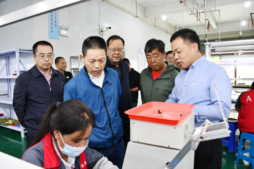 市第六督导组赴东川开展“当好排头兵”大讨论大竞赛活动和党建工作第二轮督导1