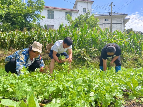 铜都街道岩脚村书记刘关鹏：13