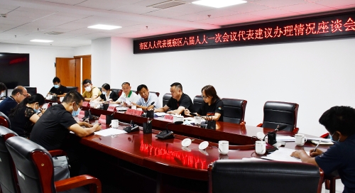 市、区人大代表视察区六届人大一次会议代表建议办理工作情况4