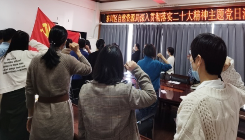 区自然资源局开展学习贯彻党的二十大精神主题党日活动1