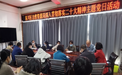 区自然资源局开展学习贯彻党的二十大精神主题党日活动2