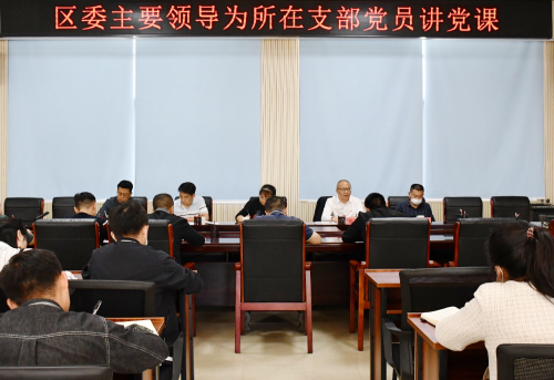 区委书记龙刚以普通党员身份参加所在党支部1