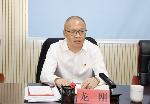 区委书记龙刚以普通党员身份参加所在党支部2