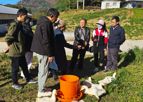 国家乡村振兴东川科技特派团水禽组赴我区开展产业帮扶3
