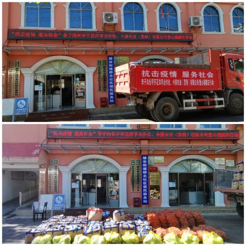 同心抗疫！ 一批爱心蔬菜抵达碧谷街道1