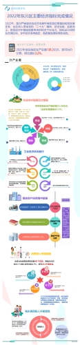 2022年东川区主要经济指标完成情况