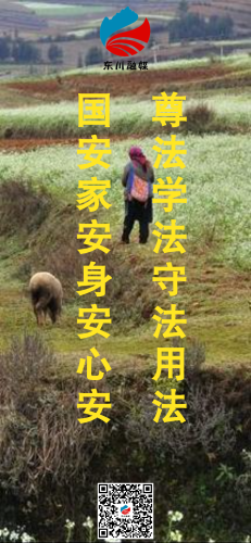普法强基海报2