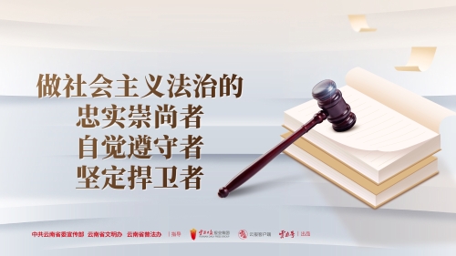 做社会主义法治的忠实崇尚者自觉遵守者坚定捍卫者 横版
