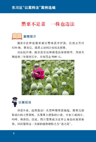 罂粟不是菜  一株也违法1