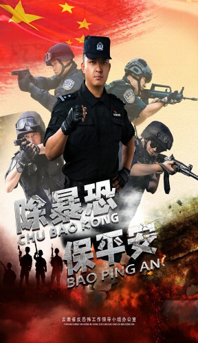 除暴恐  保平安