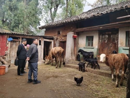 专项执行活动4