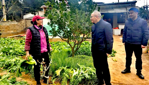 微信图片_20241220081017