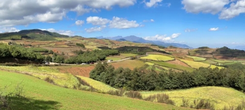 走进东川红土地，惊叹于大自然的“调色盘”1