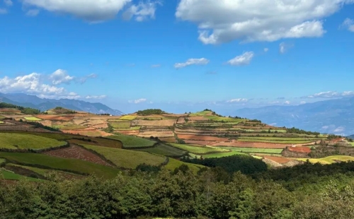走进东川红土地，惊叹于大自然的“调色盘”3