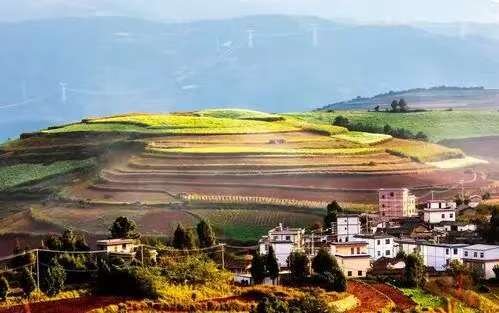 【旅居东川·城五乡二②】东川向全国游客发出邀约  快来红土地体验“城五乡二”的生活5