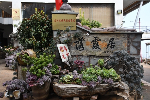 【旅居东川·城五乡二②】东川向全国游客发出邀约  快来红土地体验“城五乡二”的生活7