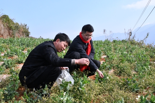 【旅居东川·城五乡二②】东川向全国游客发出邀约  快来红土地体验“城五乡二”的生活6