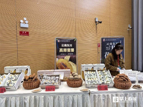 【产业项目攻坚】签约8家企业金额超17亿 东川梯度种业发布暨招商推介会成果斐然3