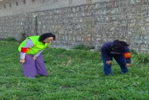 【禁毒宣传】铜都街道沙坝社区开展“春暖花开，禁种铲毒正当时”禁种铲毒踏查行动2