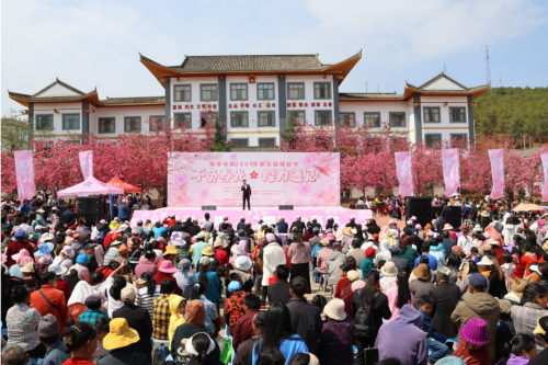 拖布卡镇赏花经济迎来文旅“开门红”2