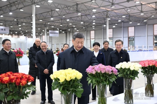 习近平在云南丽江市考察调研1