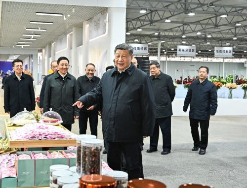 习近平在云南丽江市考察调研2