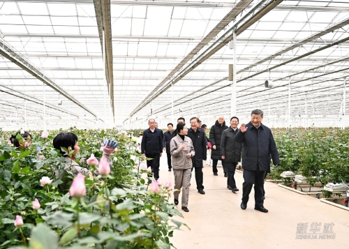 习近平在云南丽江市考察调研3