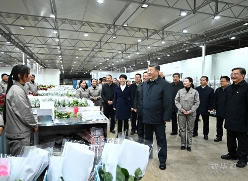 习近平在云南丽江市考察调研4