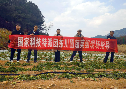 东川区蔬菜产业迎来“智慧春风”1