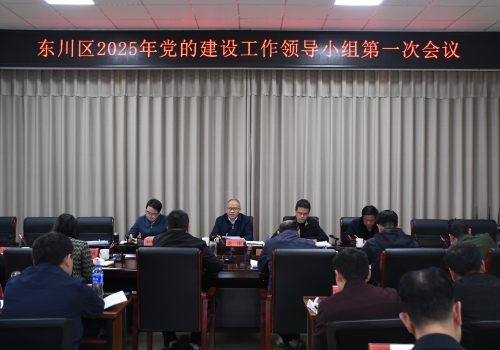 区委党的建设工作领导小组召开会议