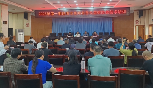 微信图片_20250328140455